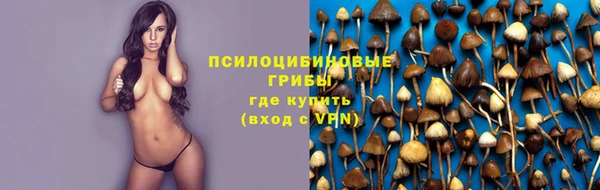 скорость Бронницы