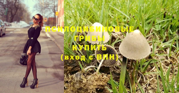 скорость Бронницы